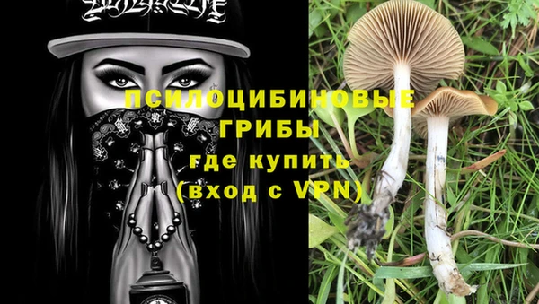метадон Алексеевка