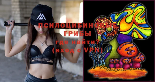 экстази Белая Холуница