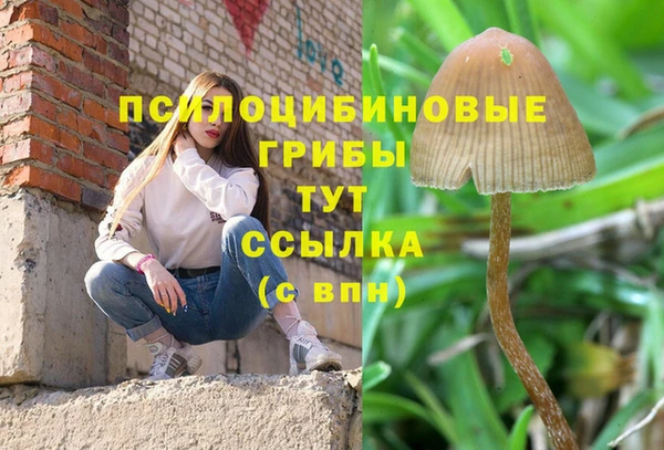 амф Алзамай
