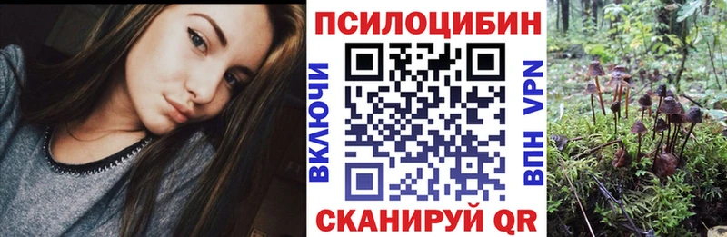 наркота Боровск Галлюциногенные грибы Cubensis